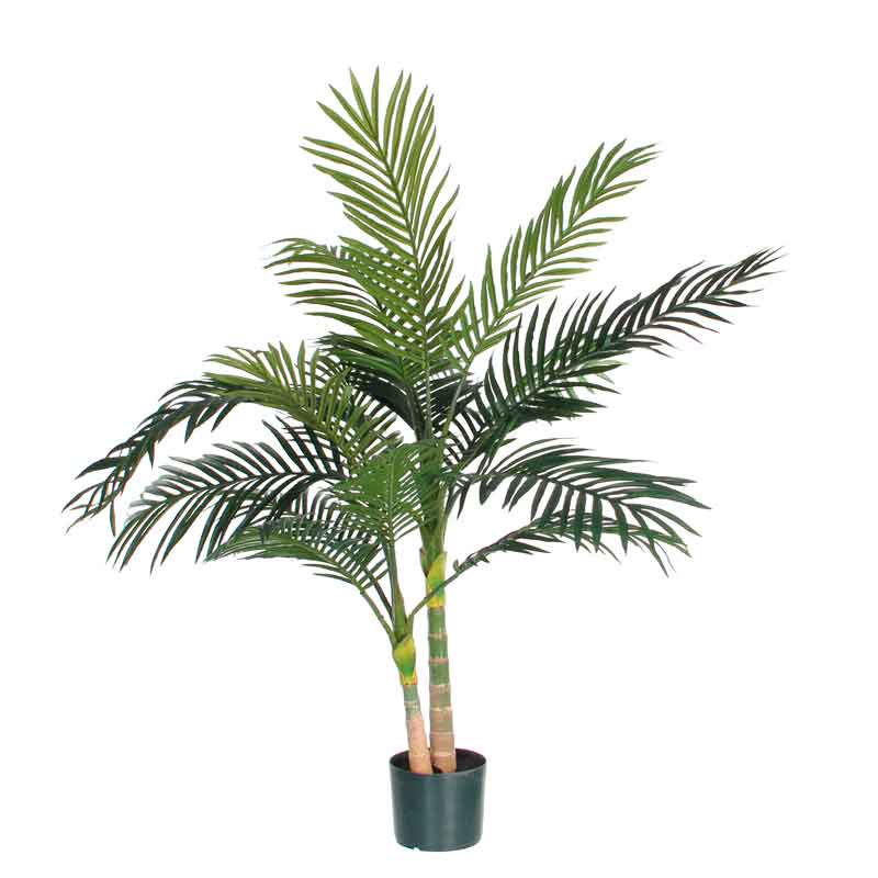 Palm Areca Golden Cane 120 cm